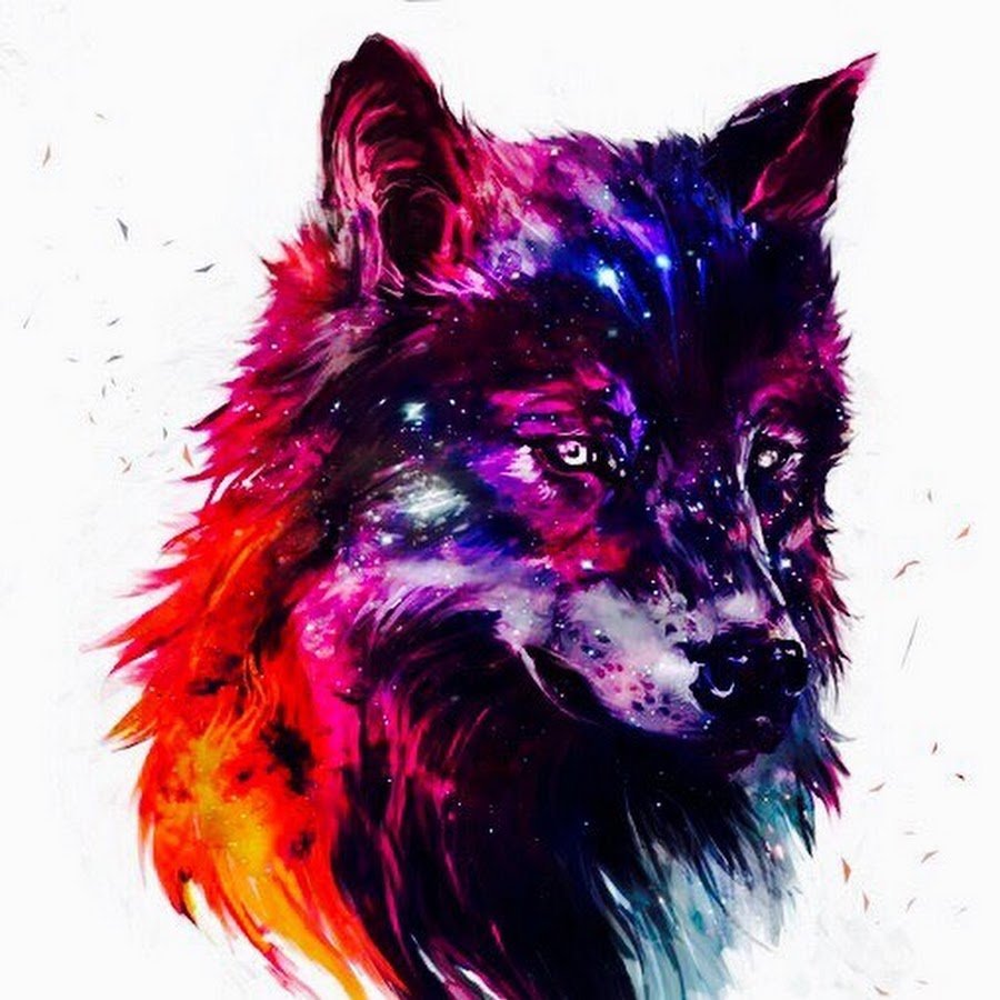 Волк красивый арт