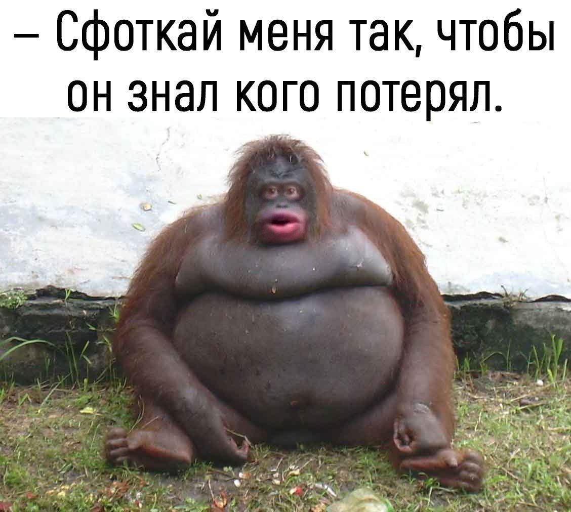 Смешные картинки