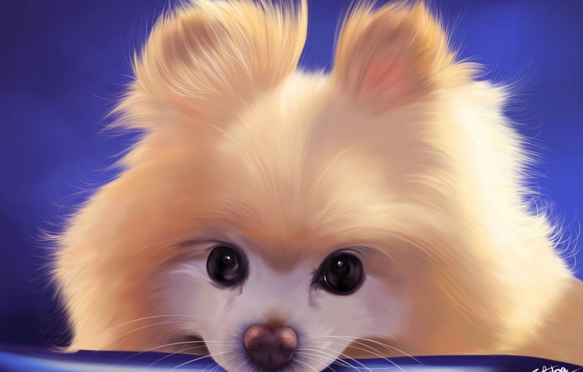 Милые собачки