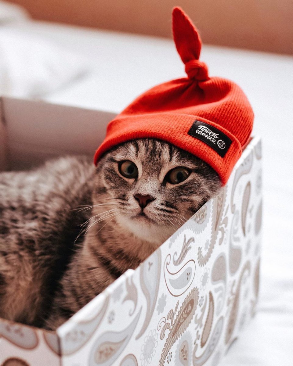 Шапка 'кошка'