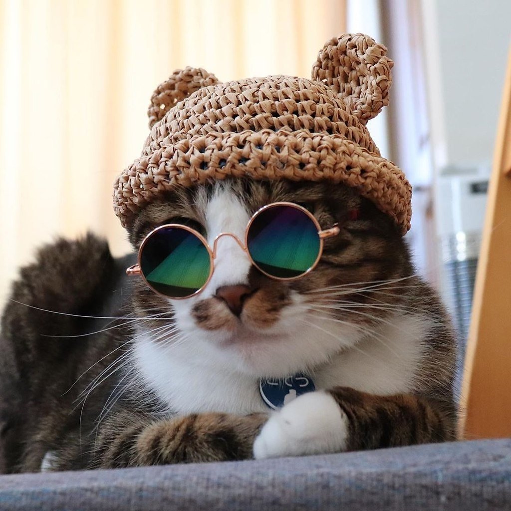 Шапка 'кошка'