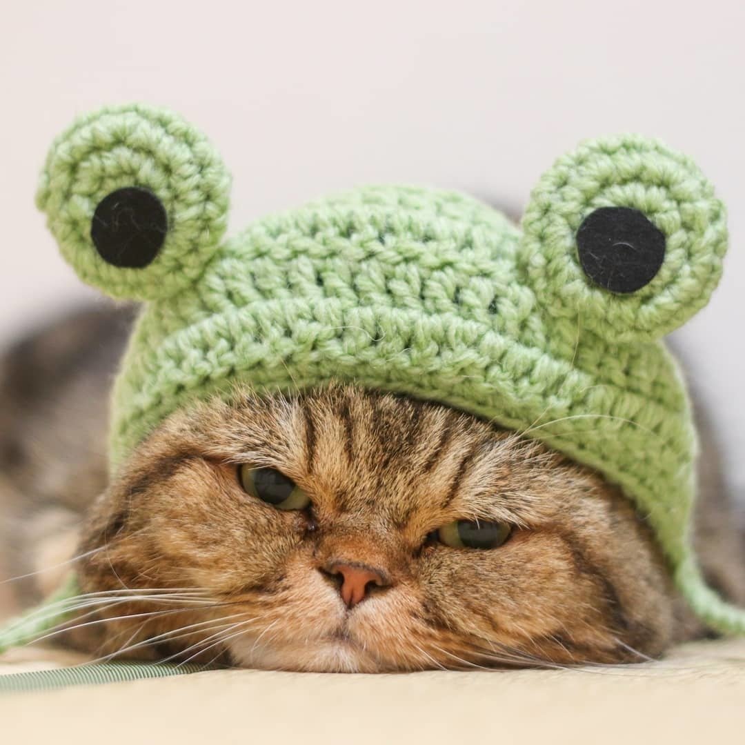 Шапка 'кошка'