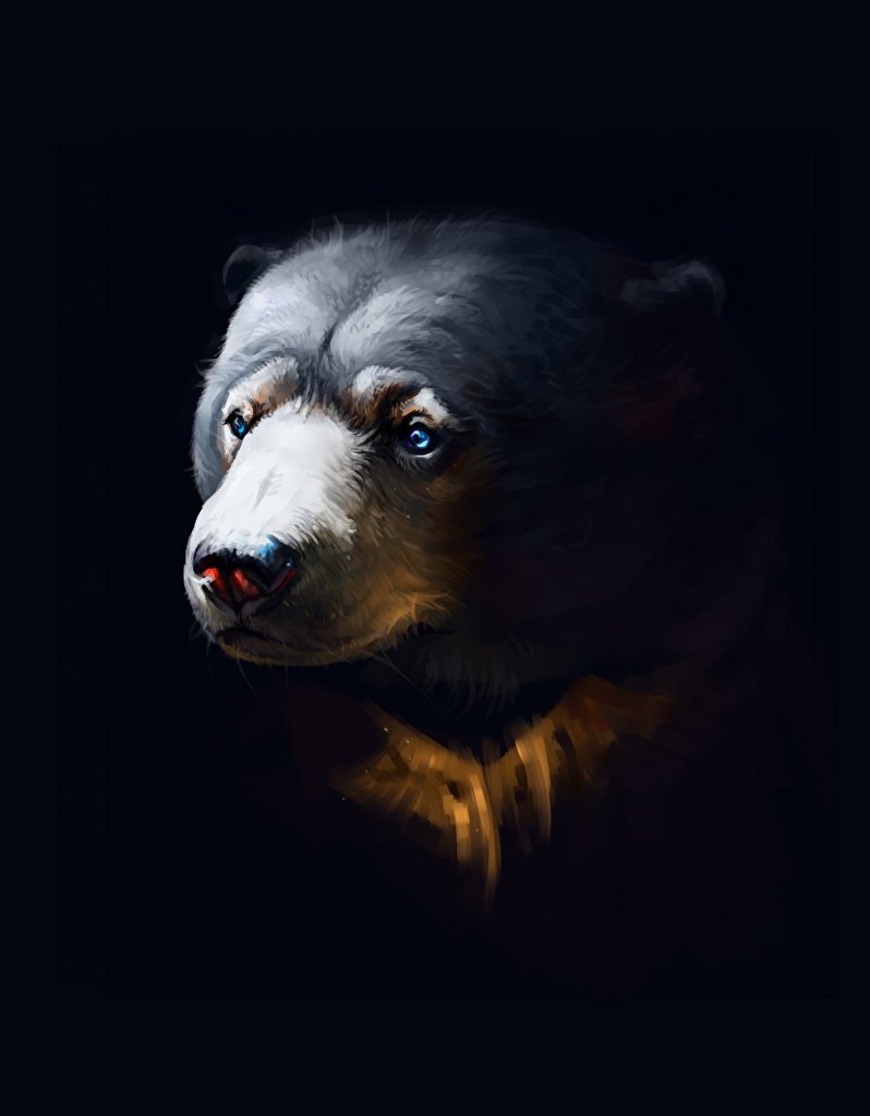 Медведь на темном фоне