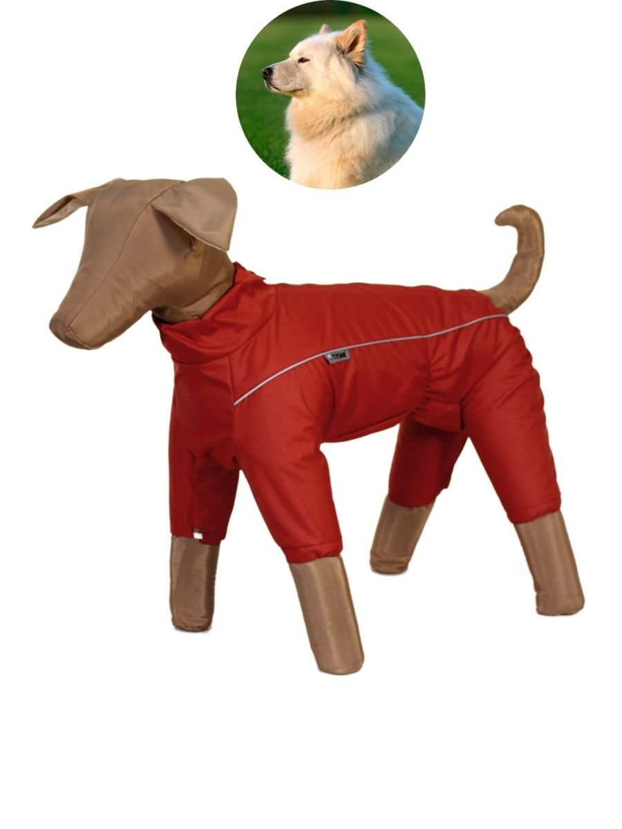 Дождевик для ирландского терьера