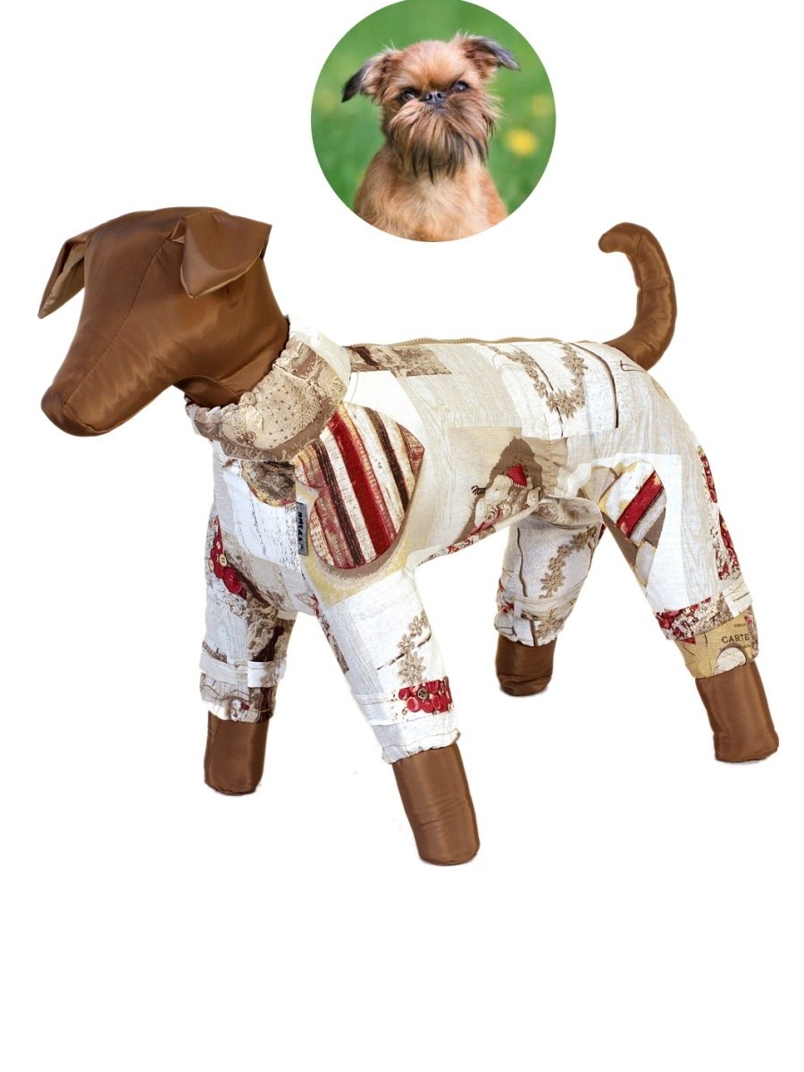 Дождевик для цвергшнауцера