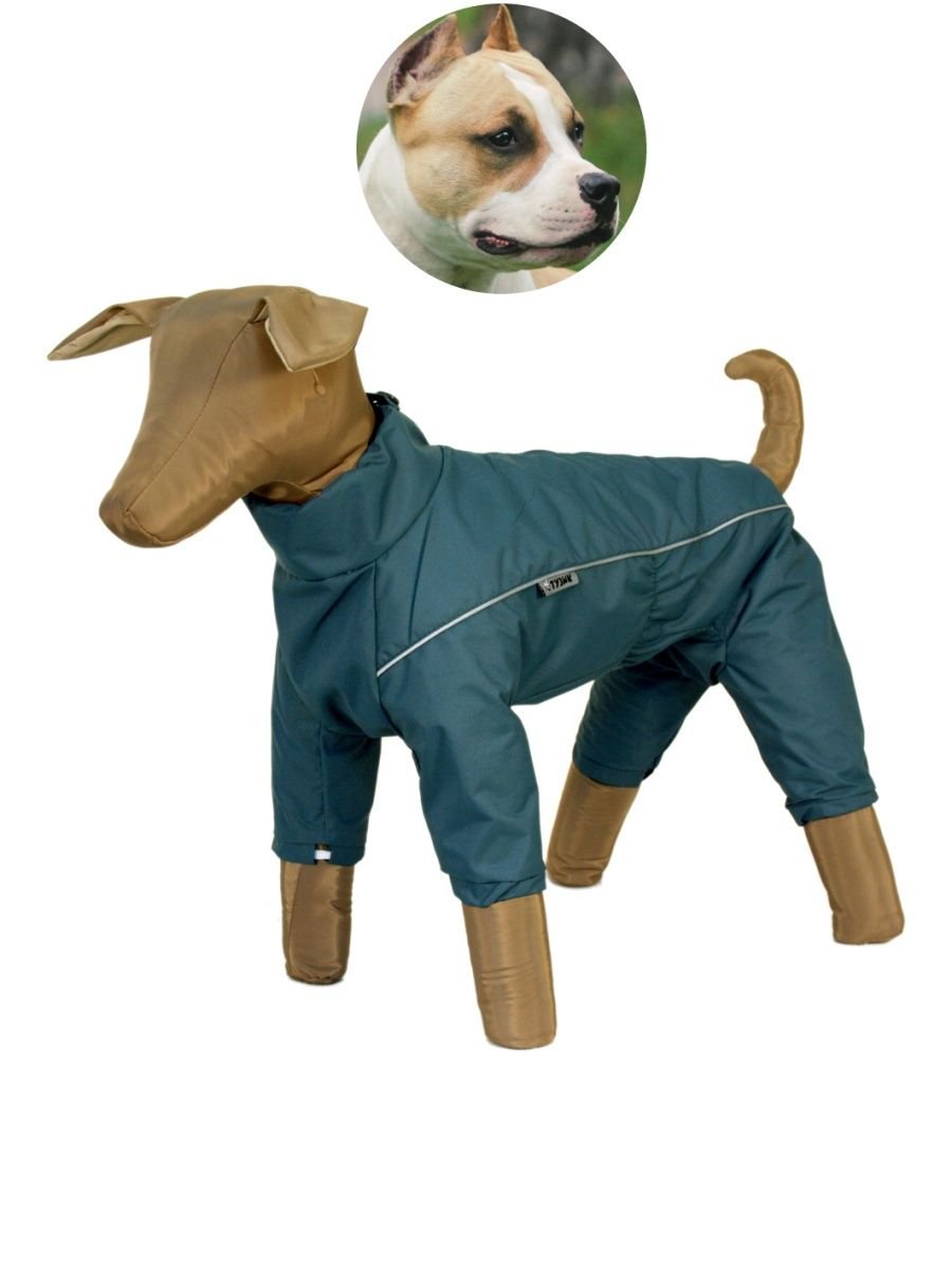 Дождевик Тузик для собак чихуахуа