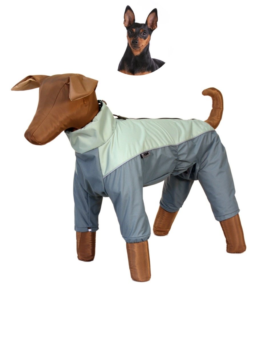 Собачка Тузик