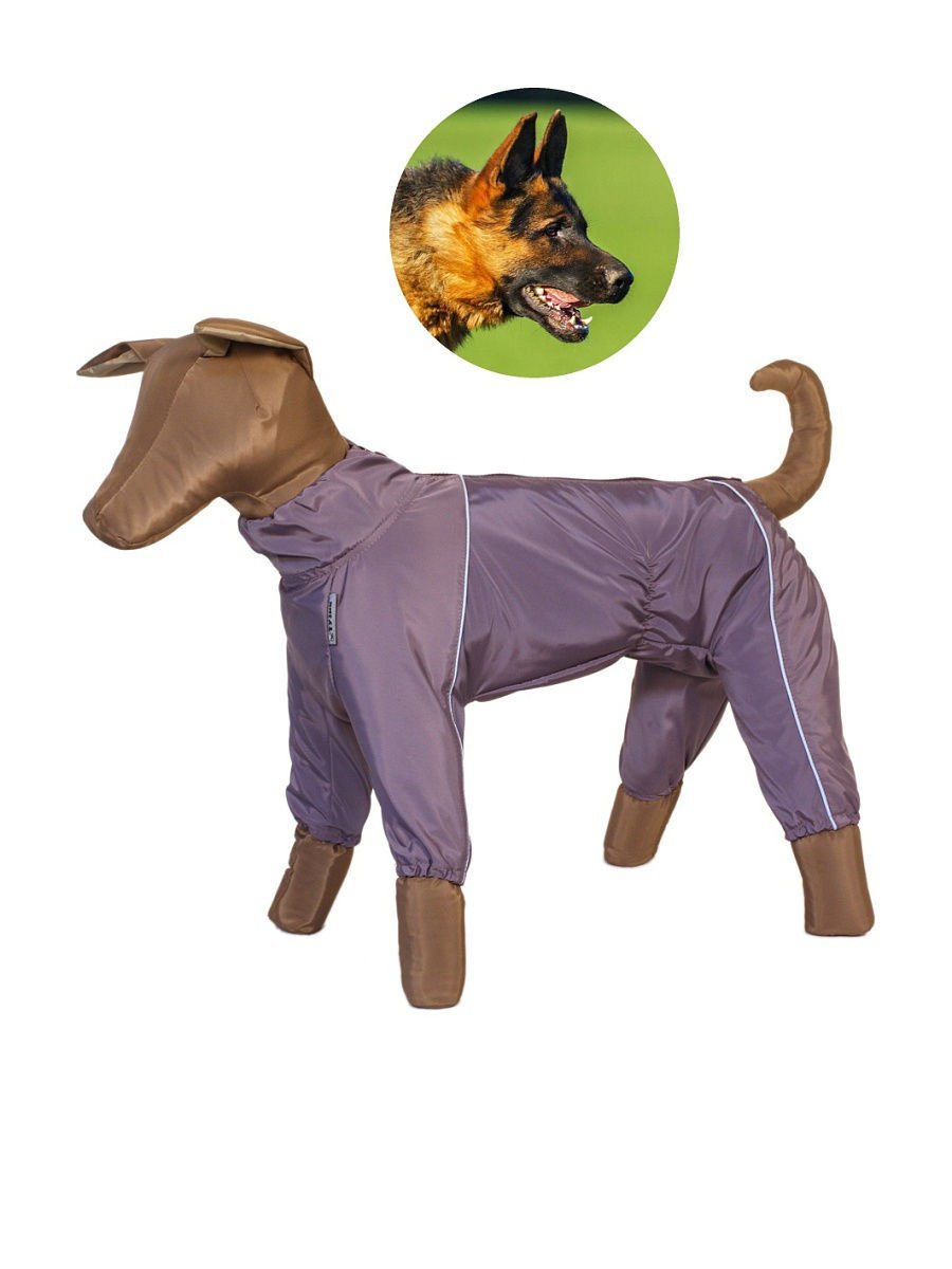 Комбинезон Тузик пудель карликовый