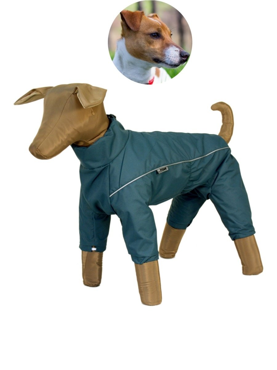 Собачка Тузик