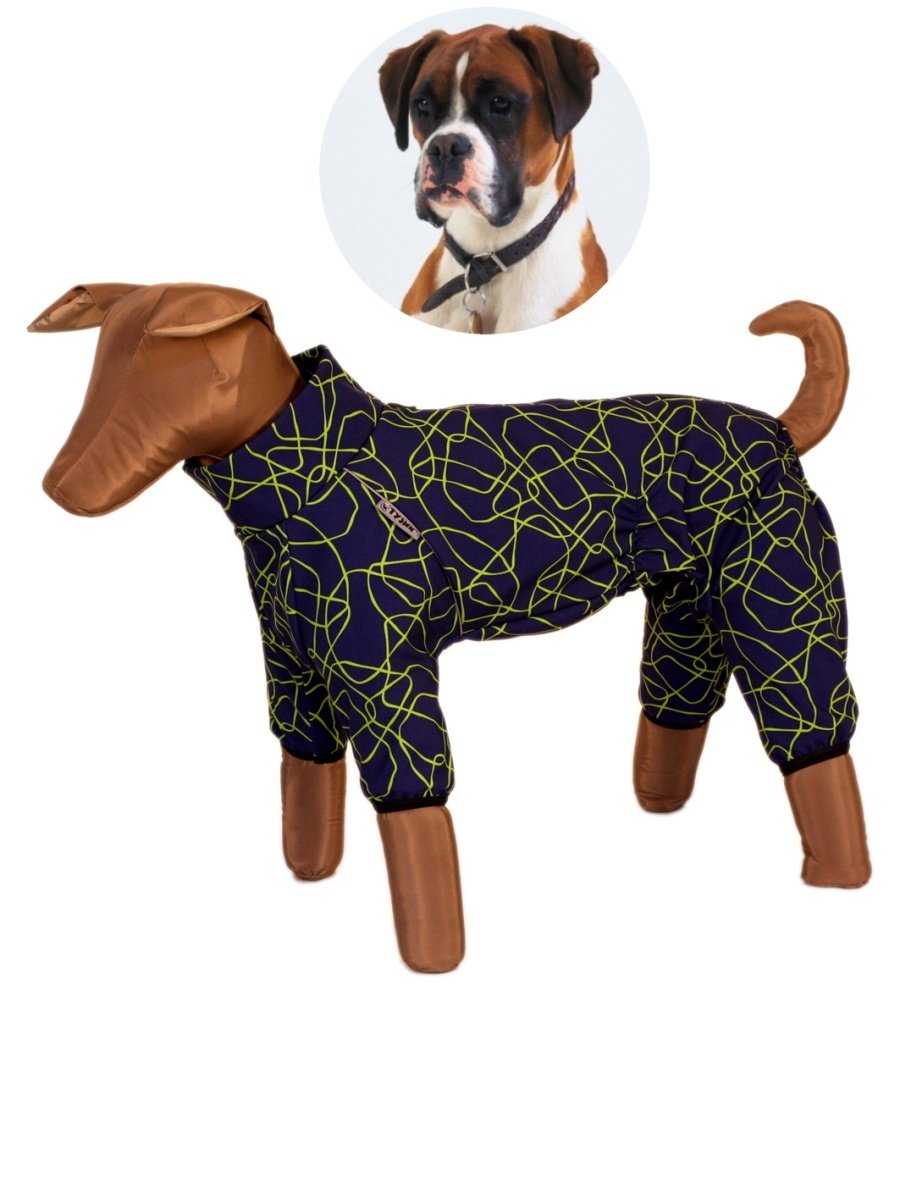 Тузик комбинезон на боксера