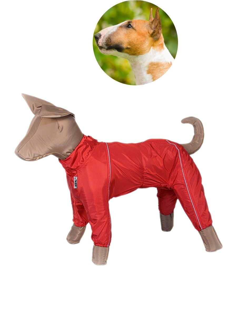 Дождевик для Кане Корсо