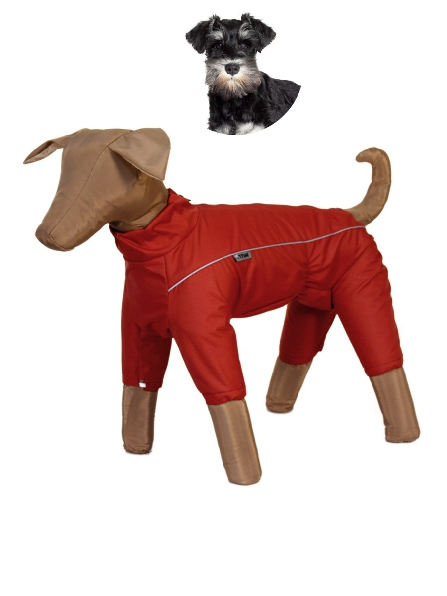 Тузик картинки