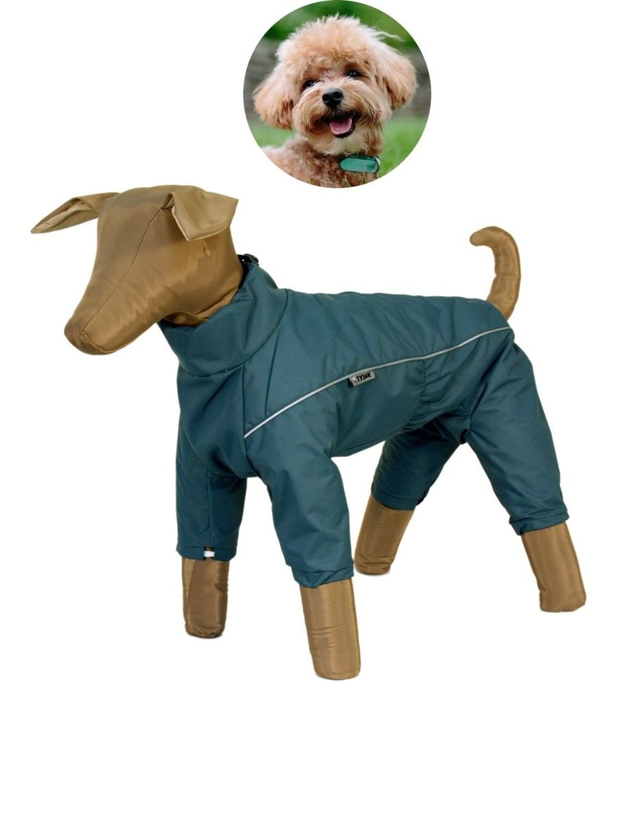 Собачка Тузик