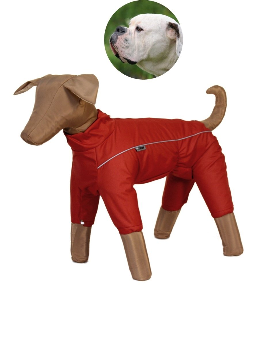 Дождевик для чау чау