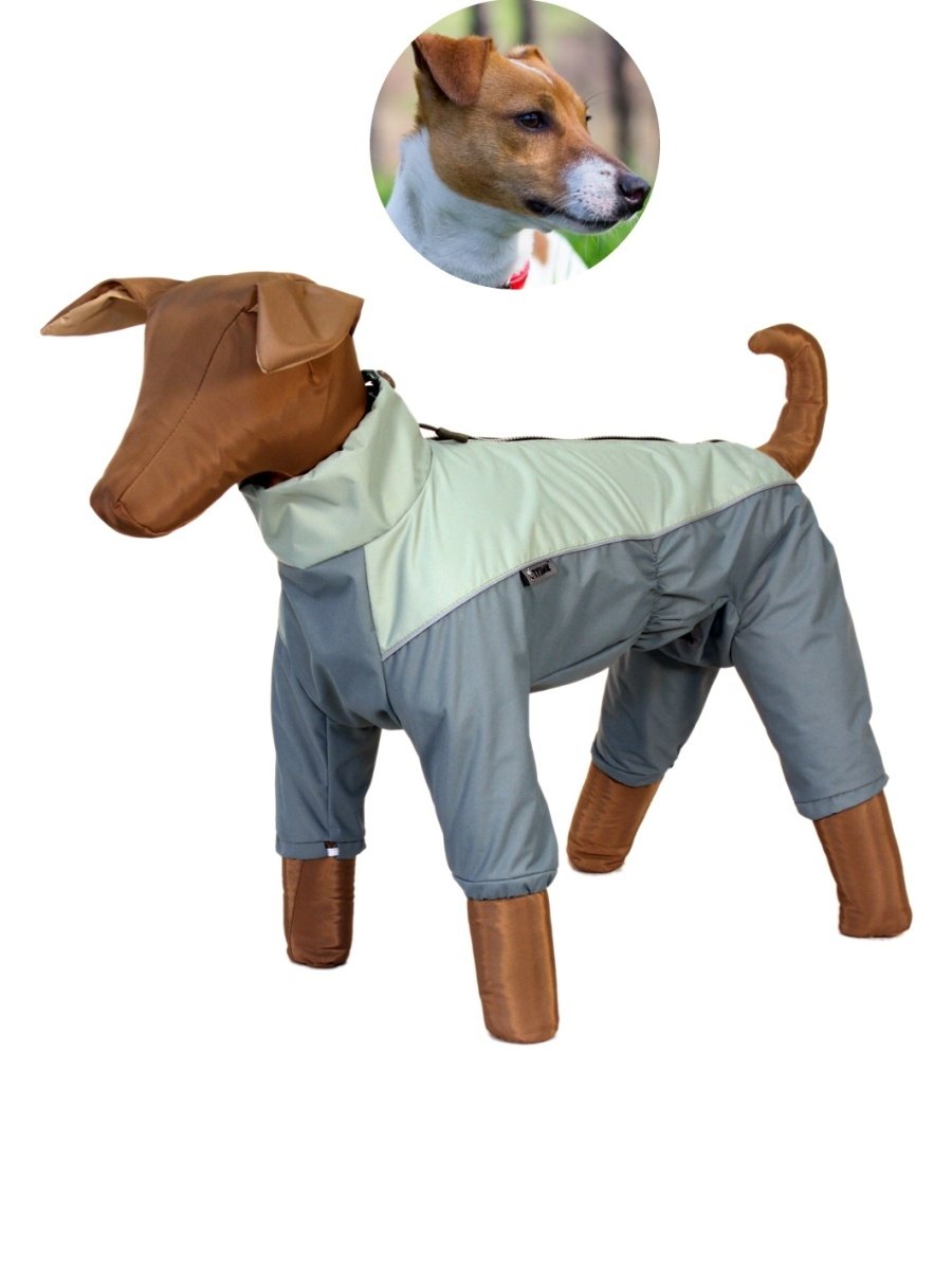 Тузик комбинезон малый пудель