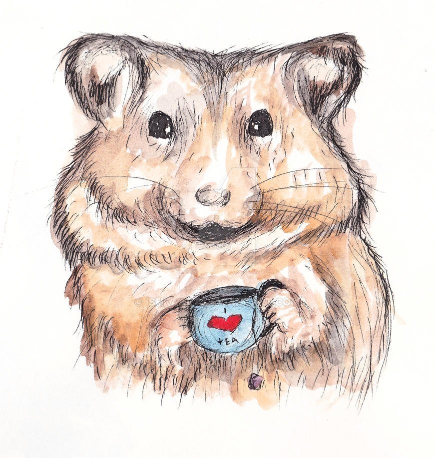 Милые рисунки хомячков