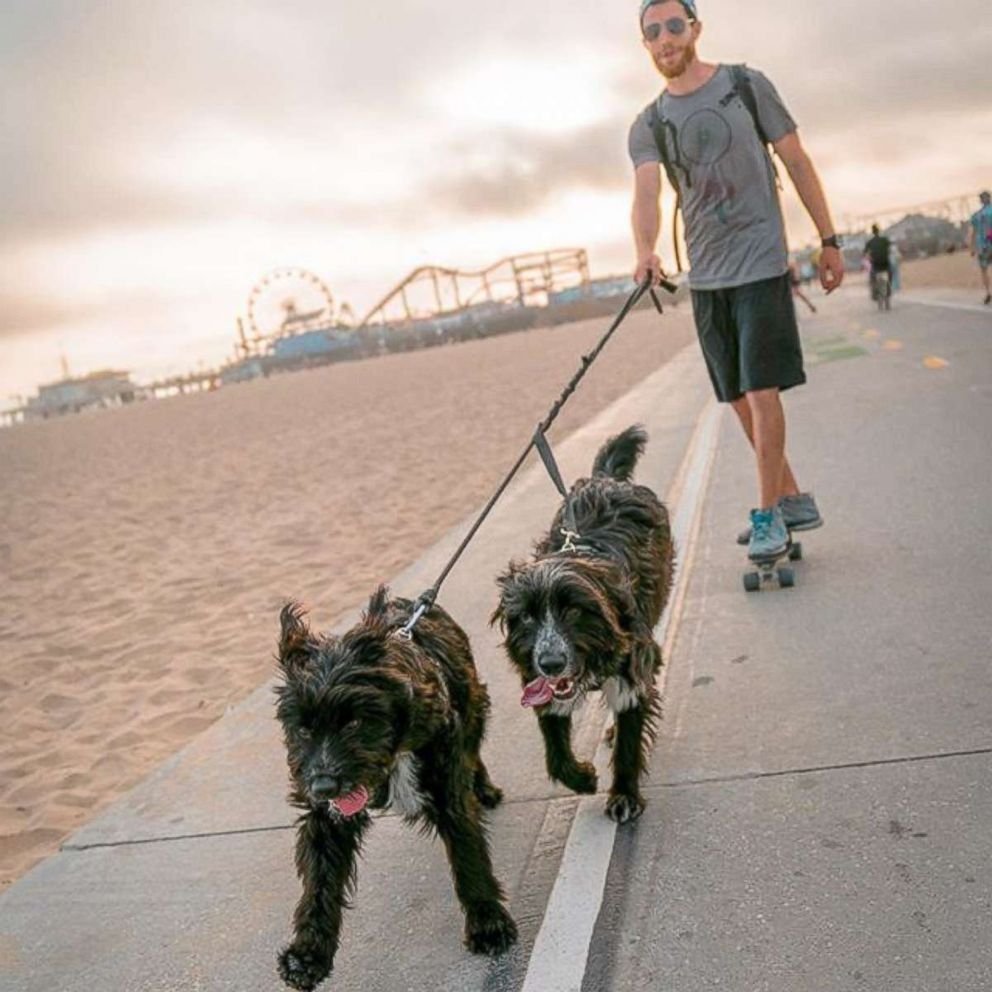 Прогулка с собакой