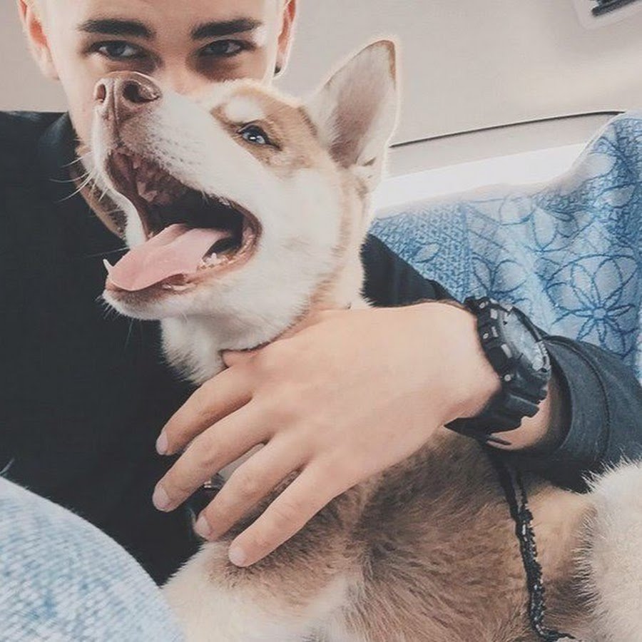 Парень с собакой без лица