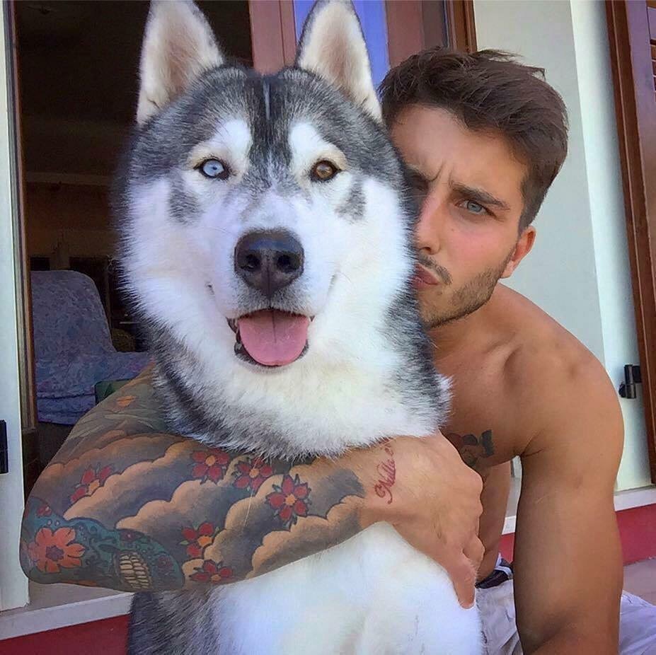 Красивый парень с хаски