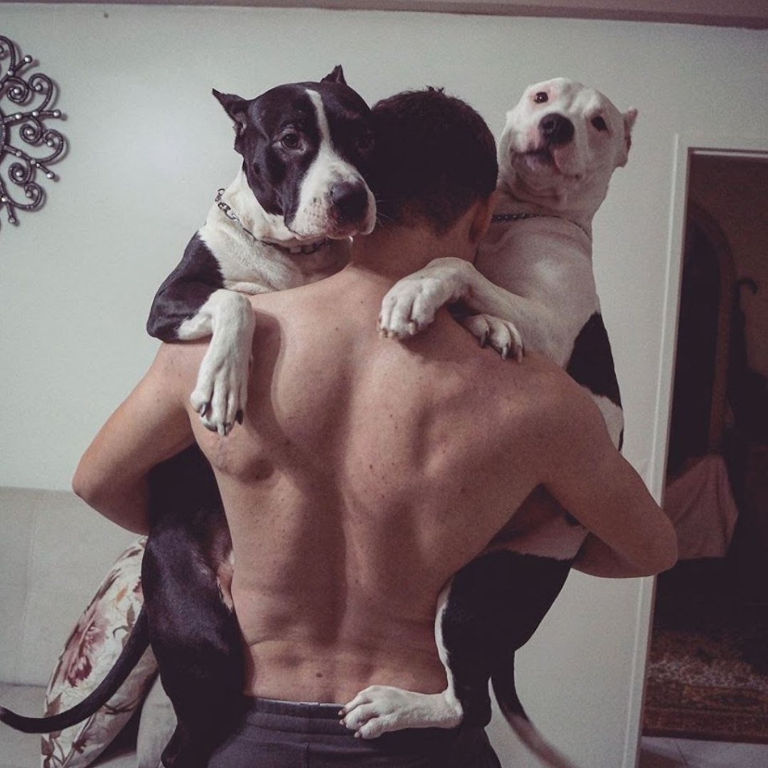 Парень с бультерьером