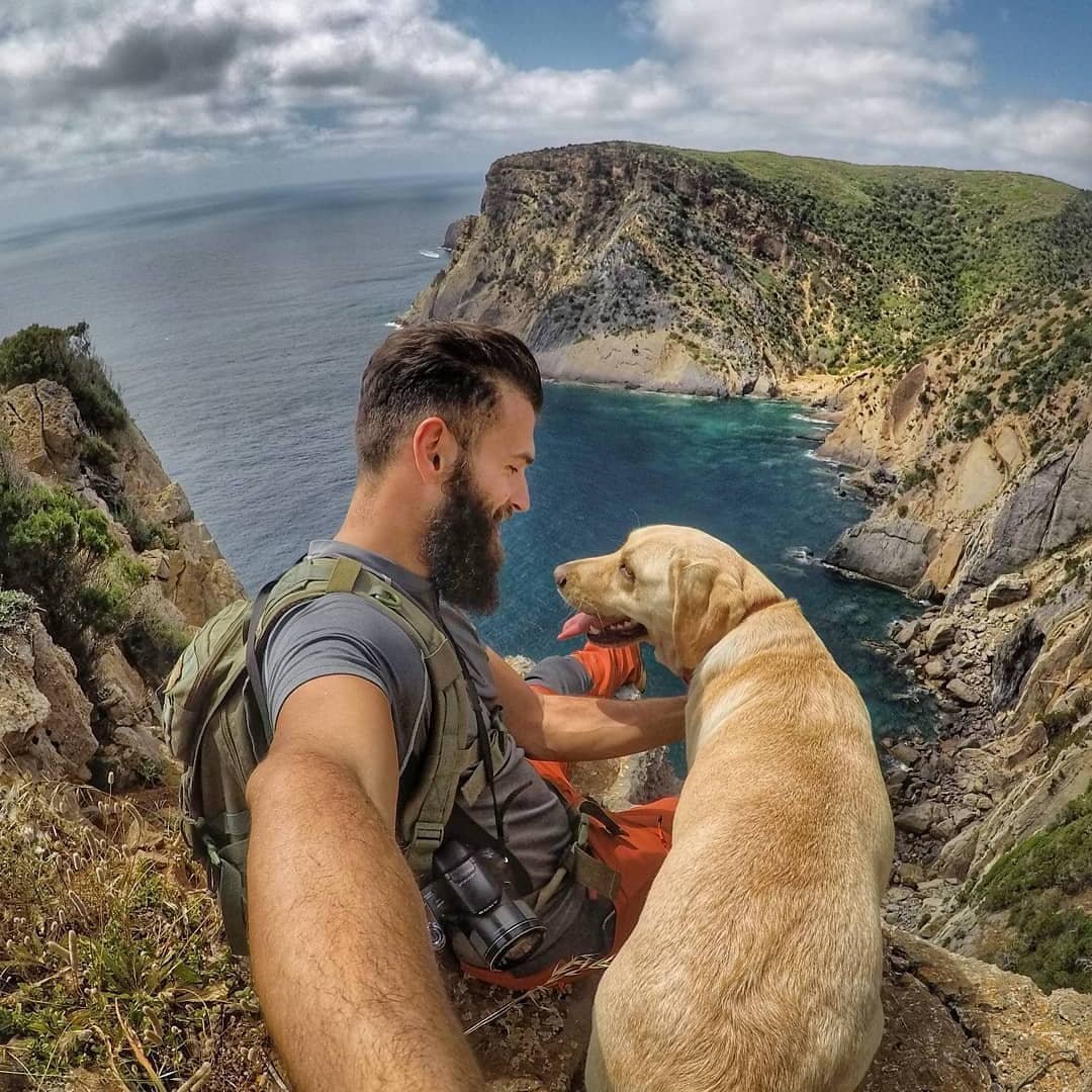 Собака путешественник