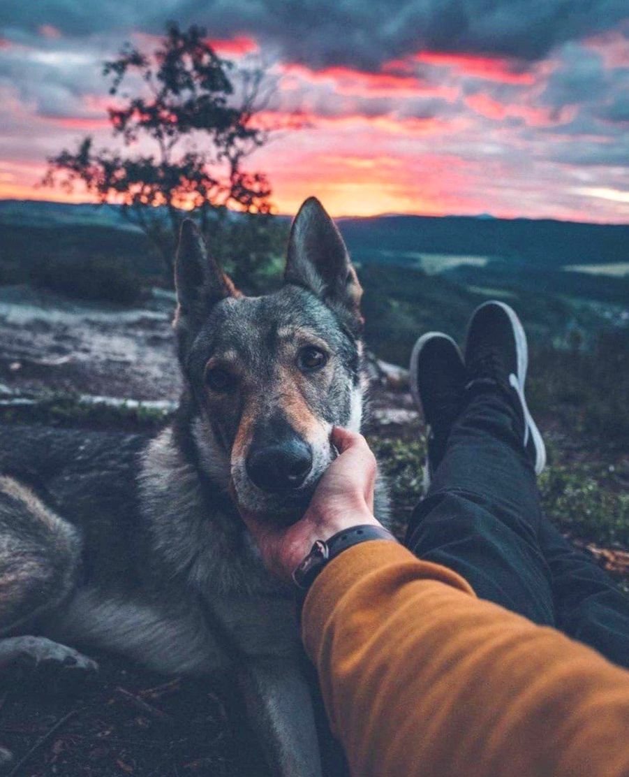 Аватарка Инстаграм для мужчин