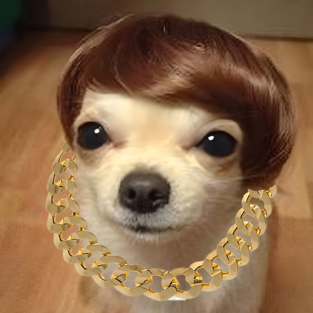 Собака с челкой на глазах