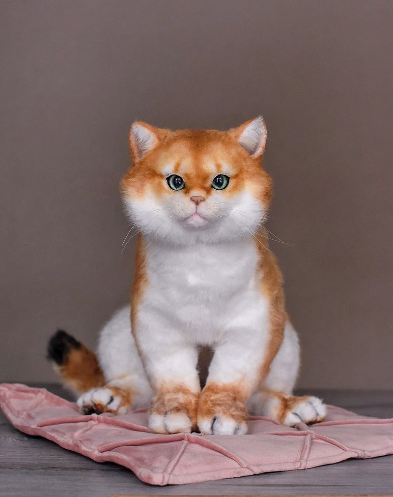 Том и Рыжик