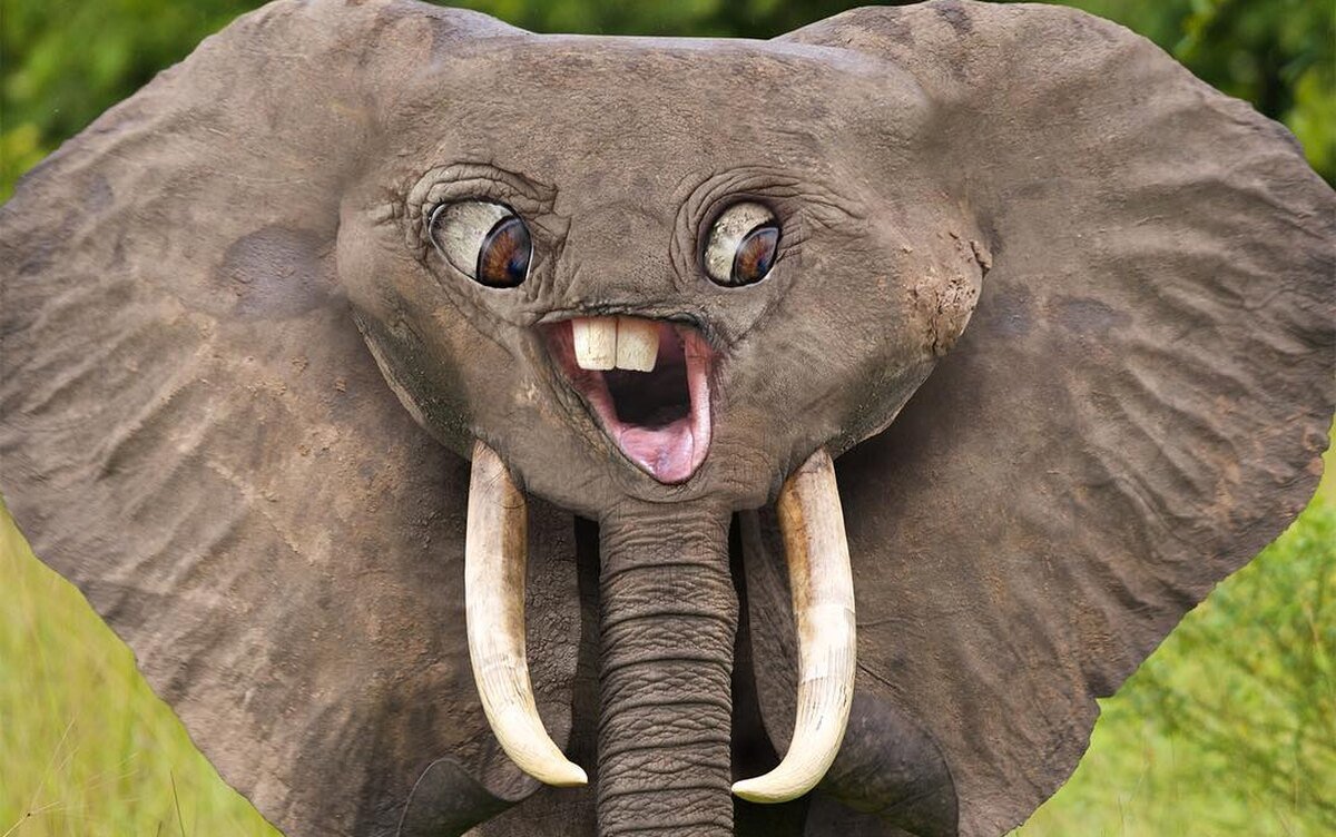 Слоники обкуренные