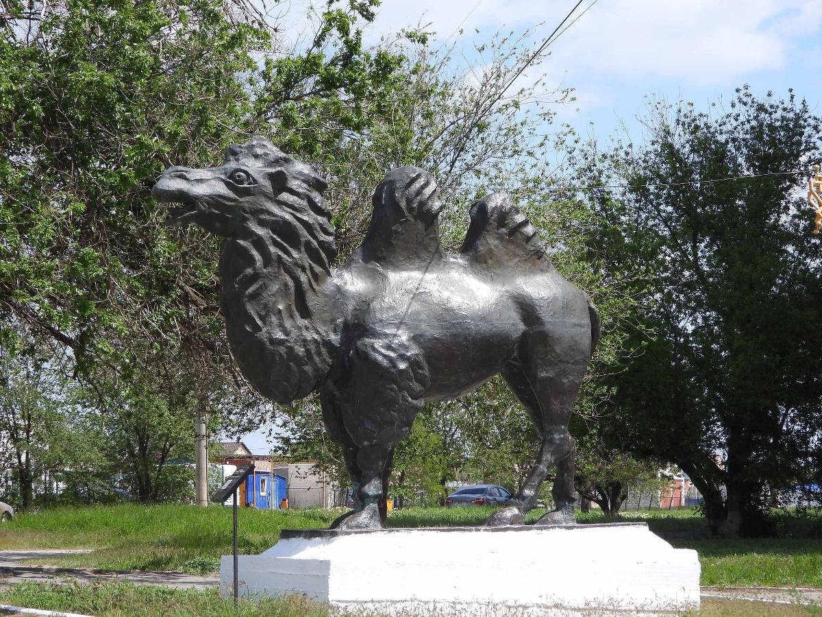Статуя верблюда в Элисте