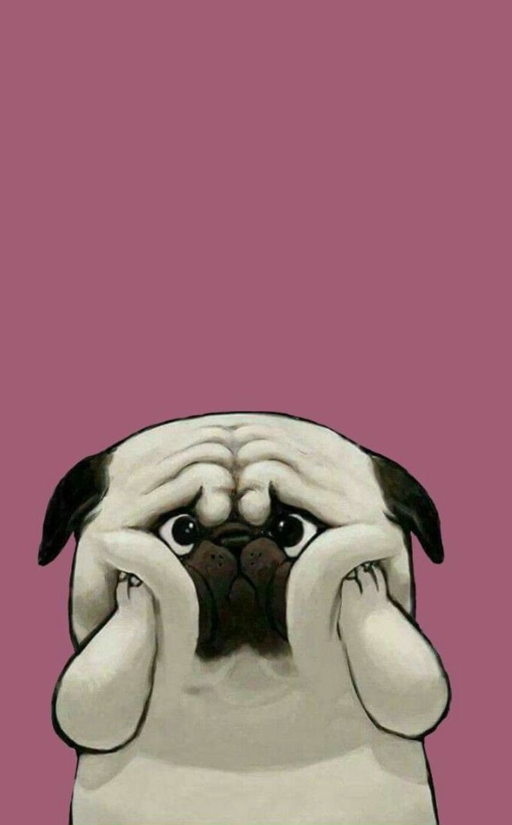 Мопс мультяшный