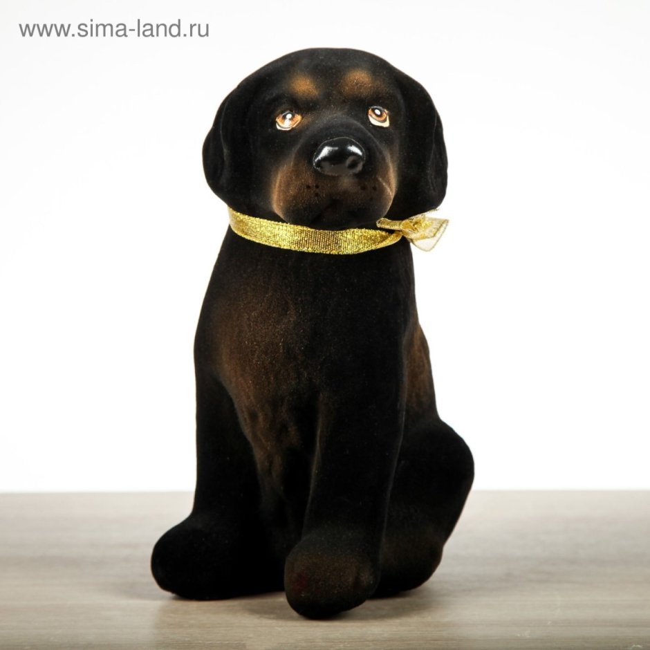 Собака бобик