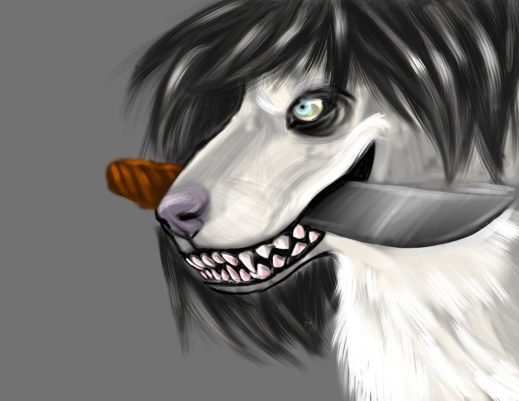 Собака улыбака крипипаста