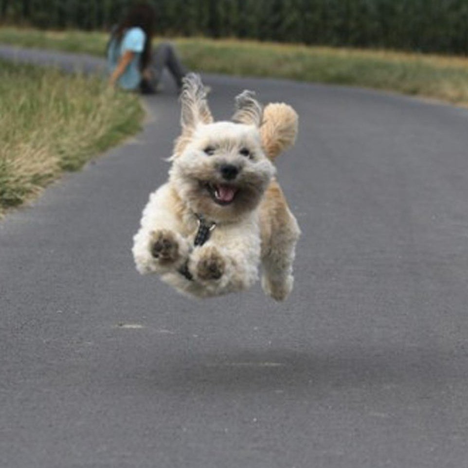 Уже бегу картинки прикольные