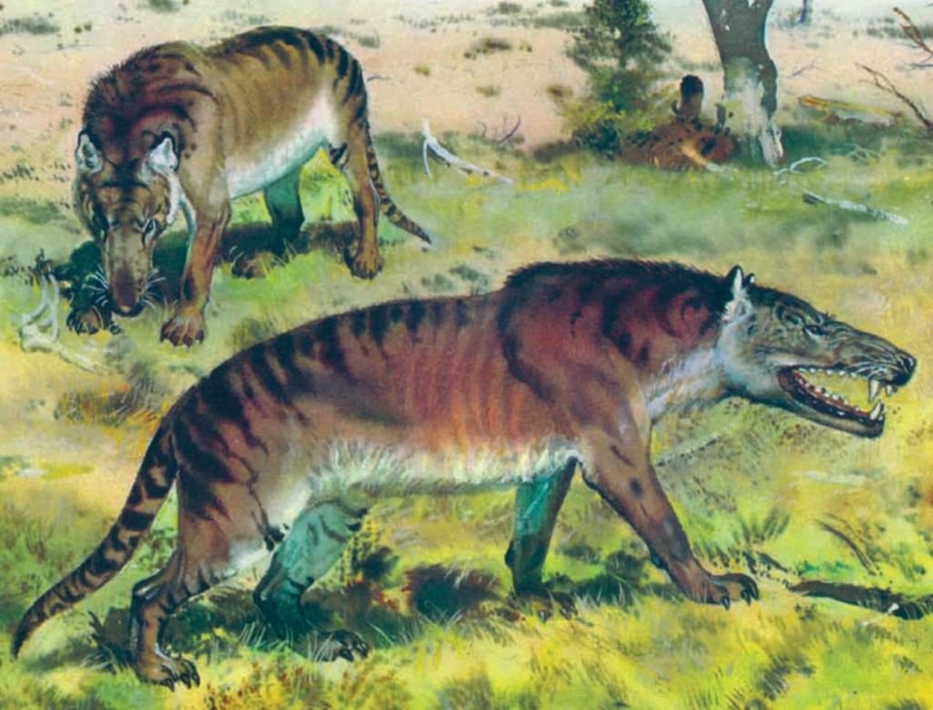 Креодонт Гиенодон