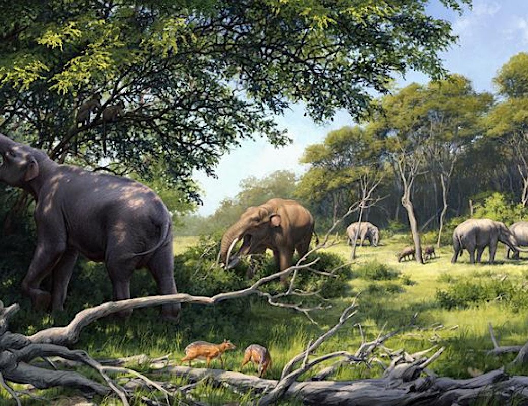 Кайнозой Эра неоген