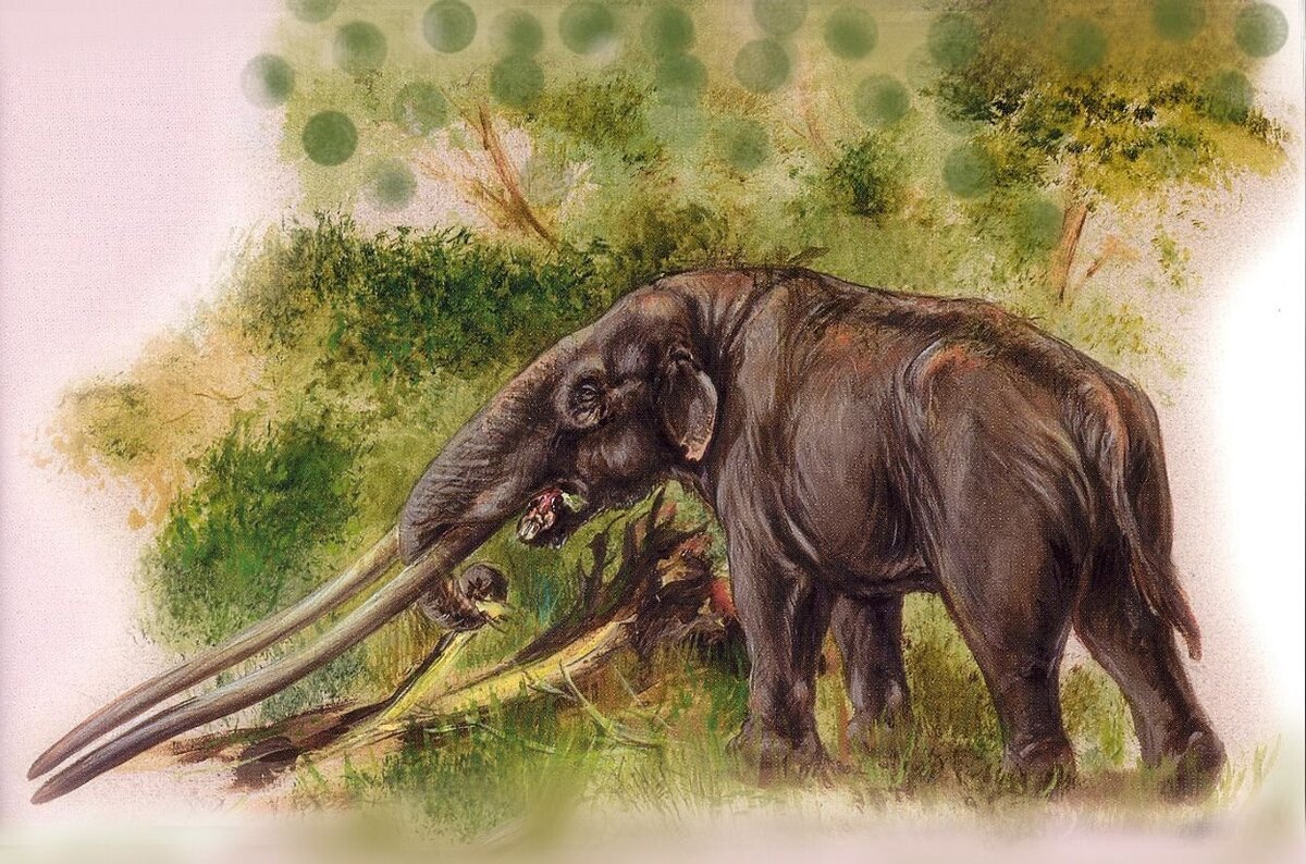 Мастодонт гомфотерия