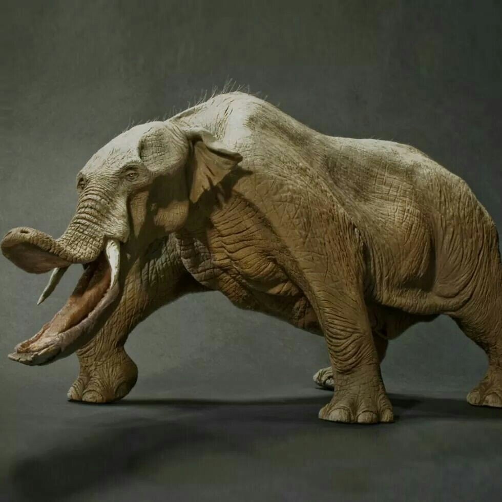 Платибелодон вымершее животное