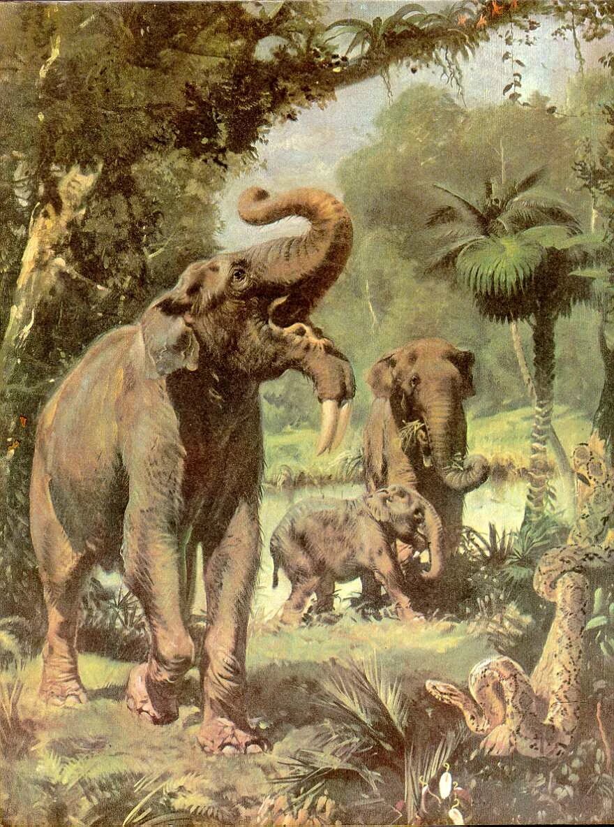 Зденек Буриан (1905-1981)