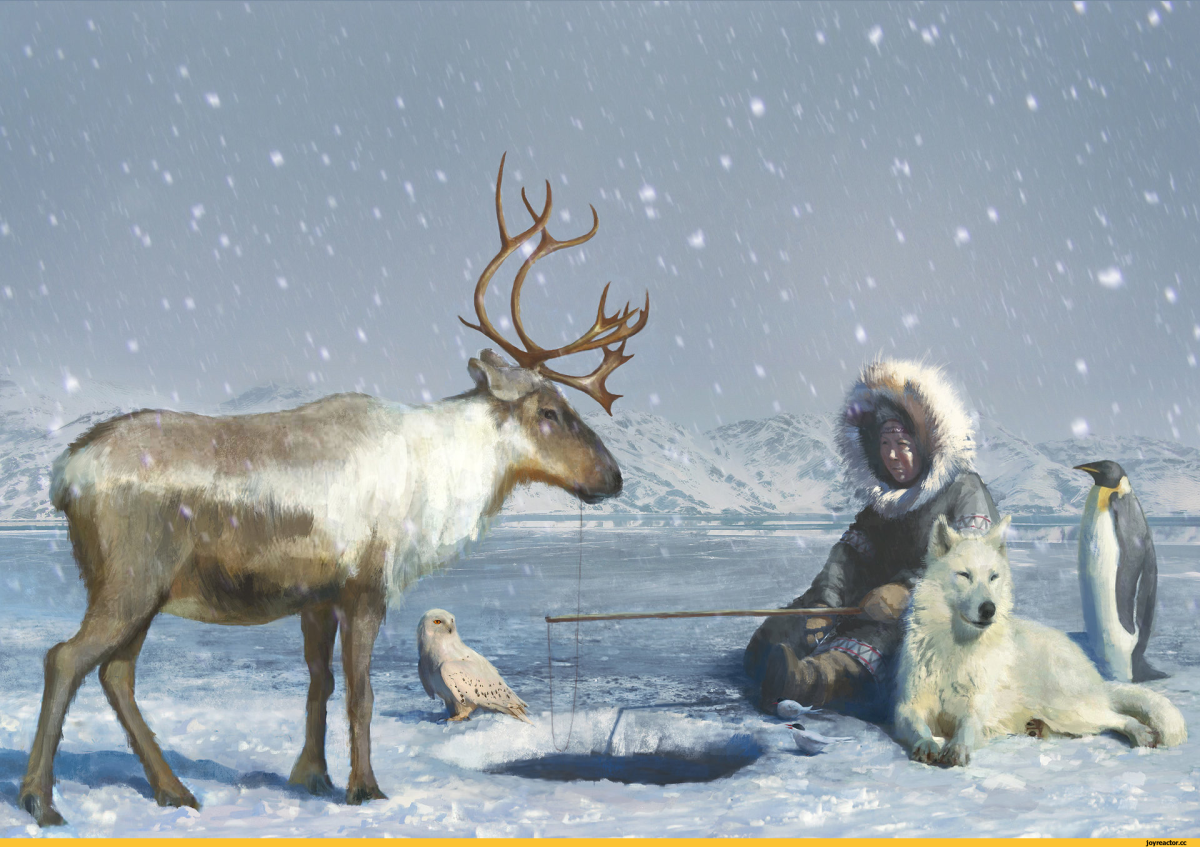 Северный олень в лесотундре