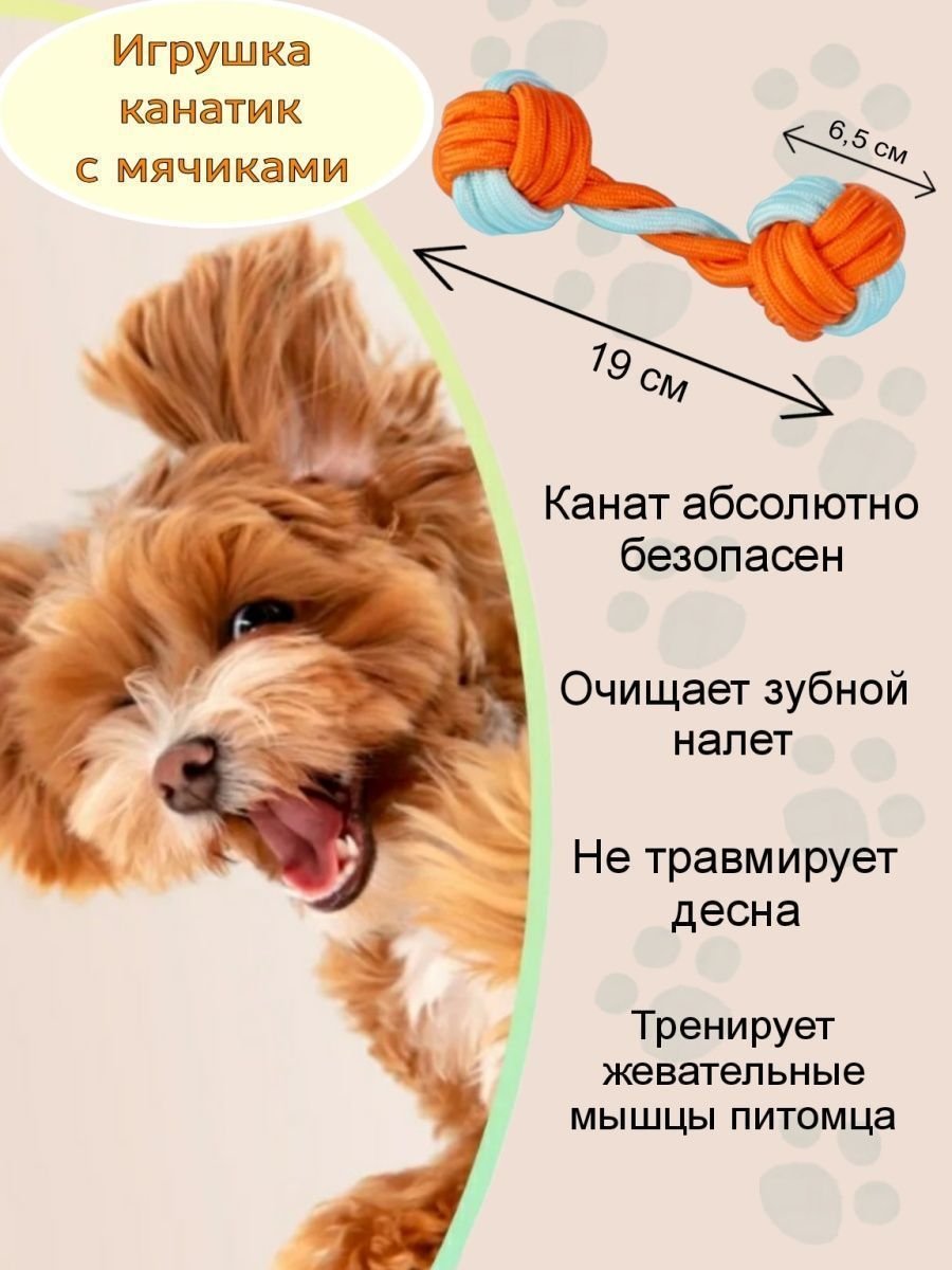 Кокер спаниель щенок