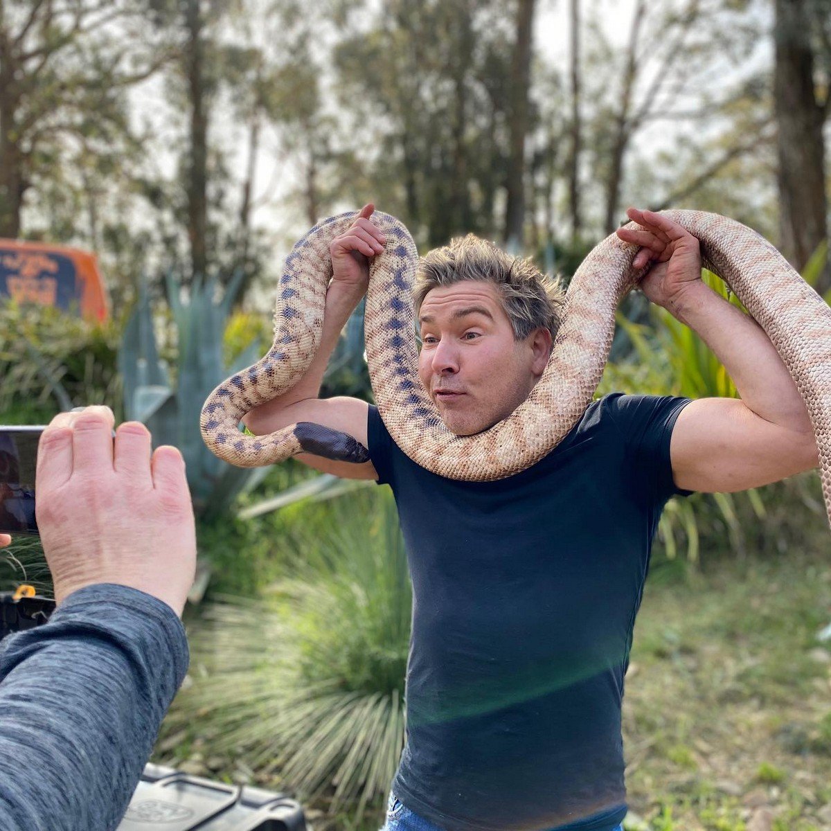 Insecto gigantes в Австралии