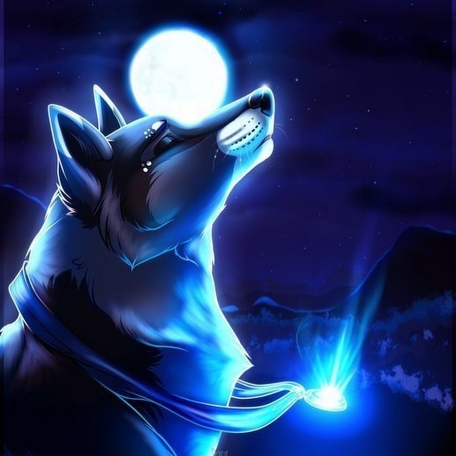 Волк аватар