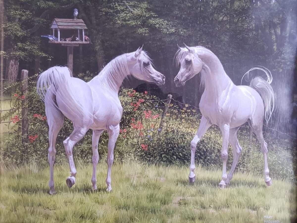 Художник Петер Смит арабские лошади