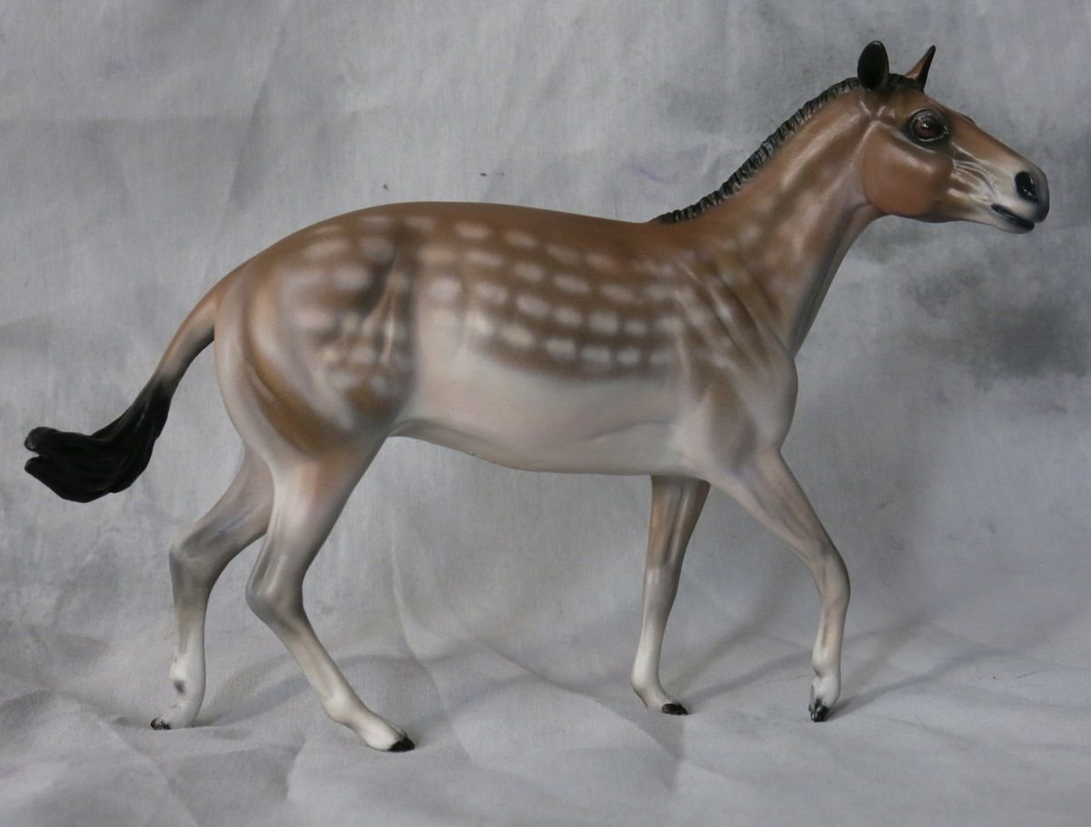 Гиракотерий эогиппус