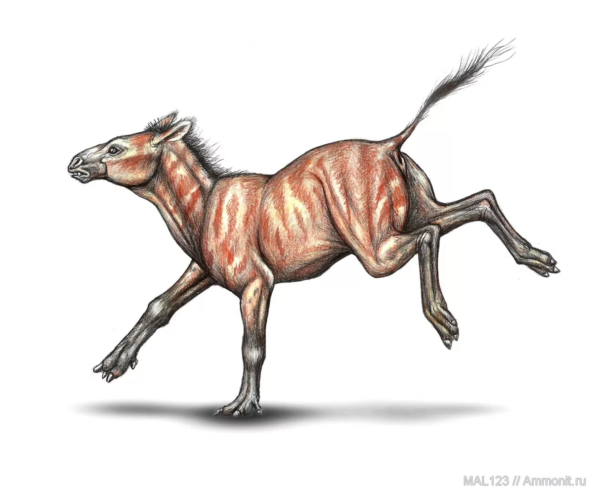 Древняя лошадь эогиппус