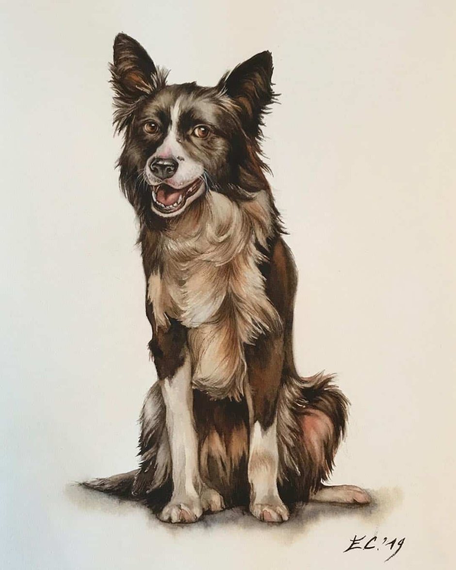 Собачка дворняжка каштанка