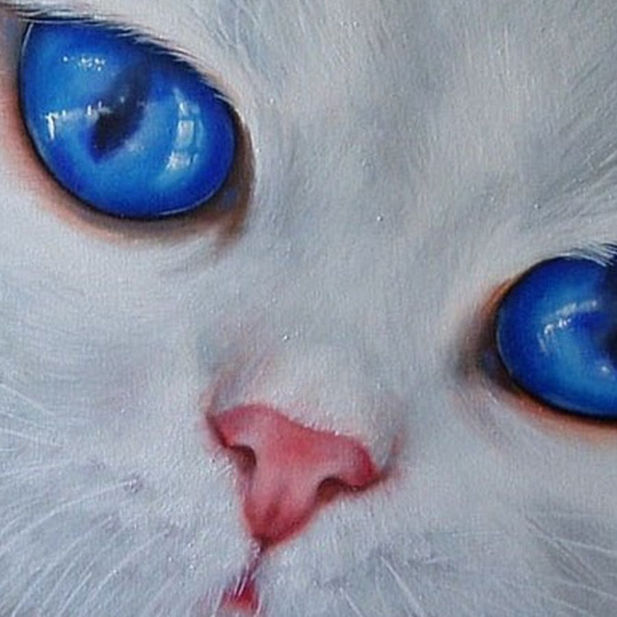 Белый кот с голубыми глазами