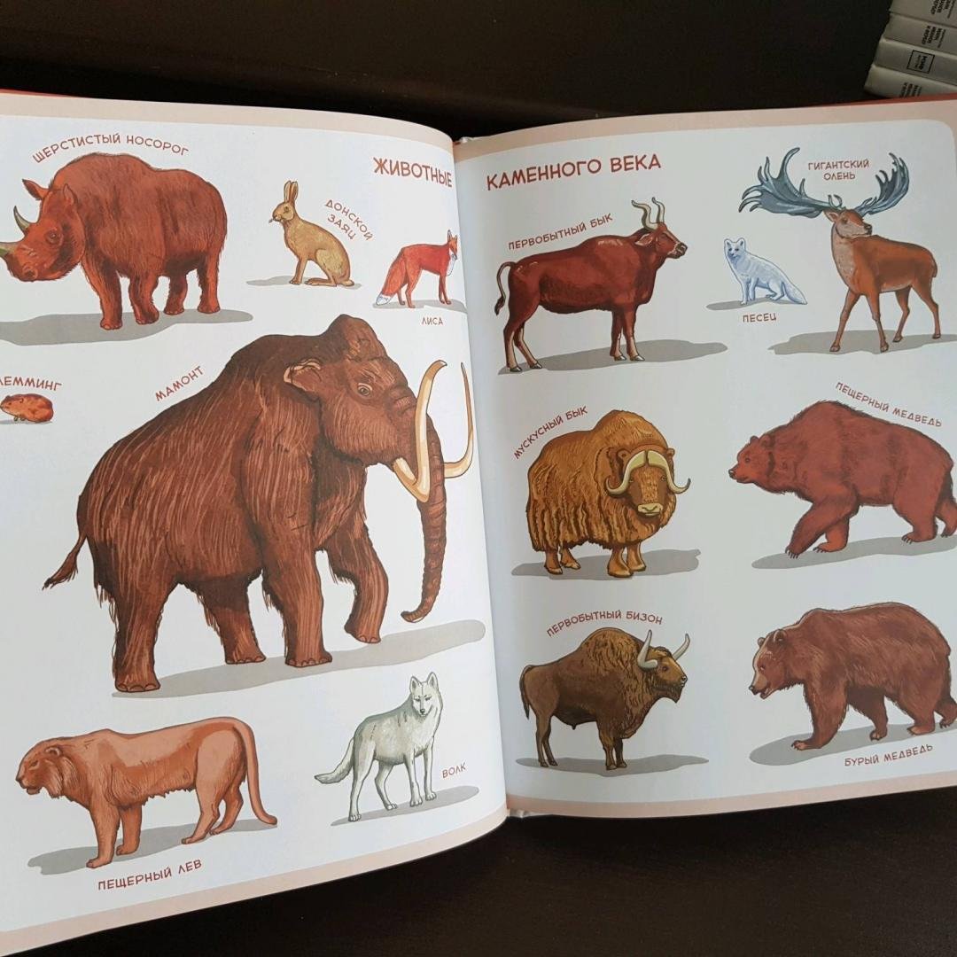 Каменный век книга