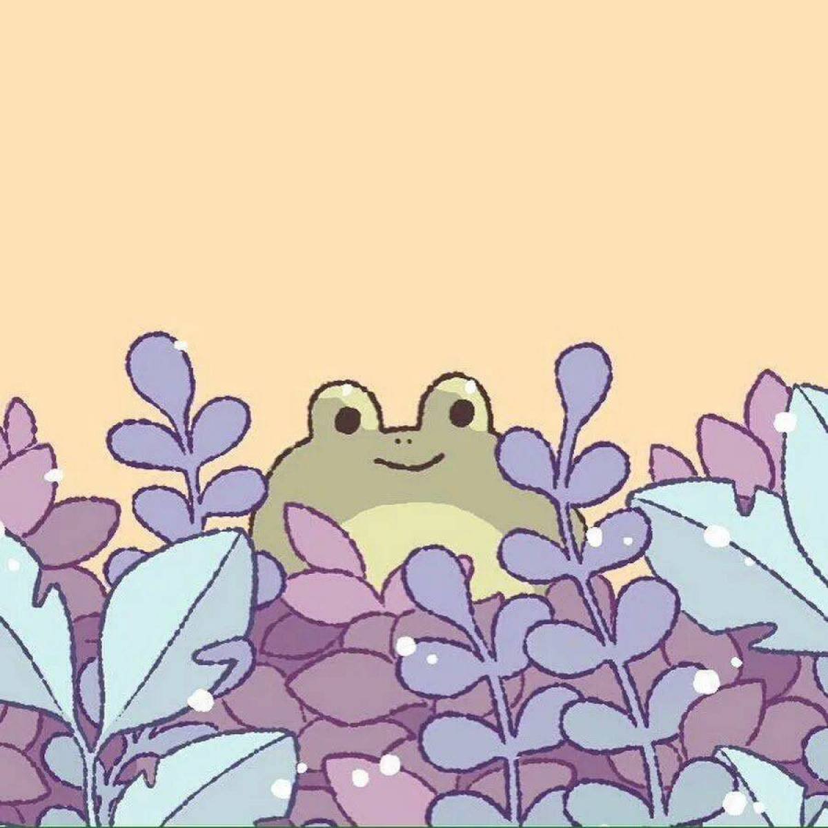 Милые Жабы Эстетика